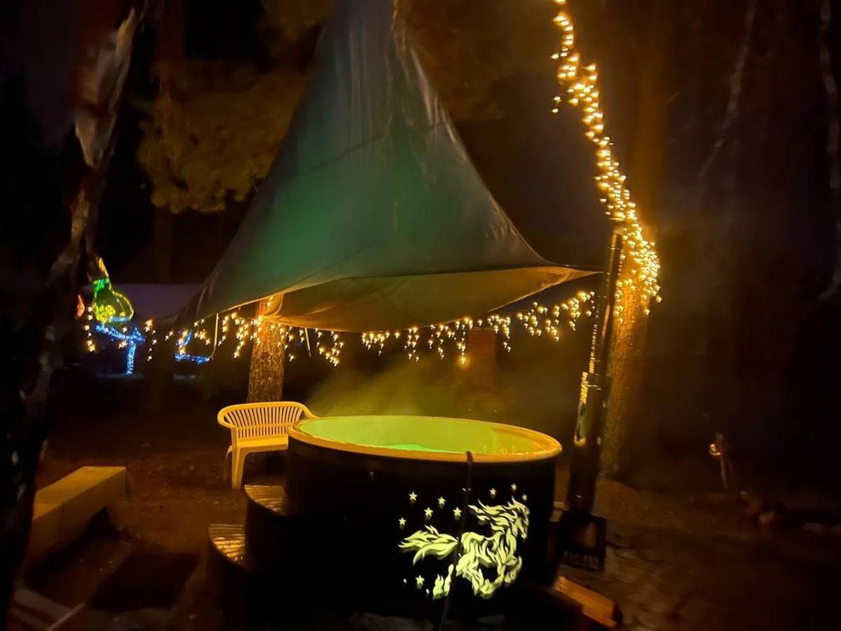 Dragon House In The Tree! Jacuzzi, Sauna ,Cinema,Heated Lici  Exterior foto