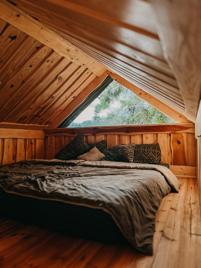 Dragon House In The Tree! Jacuzzi, Sauna ,Cinema,Heated Lici  Exterior foto