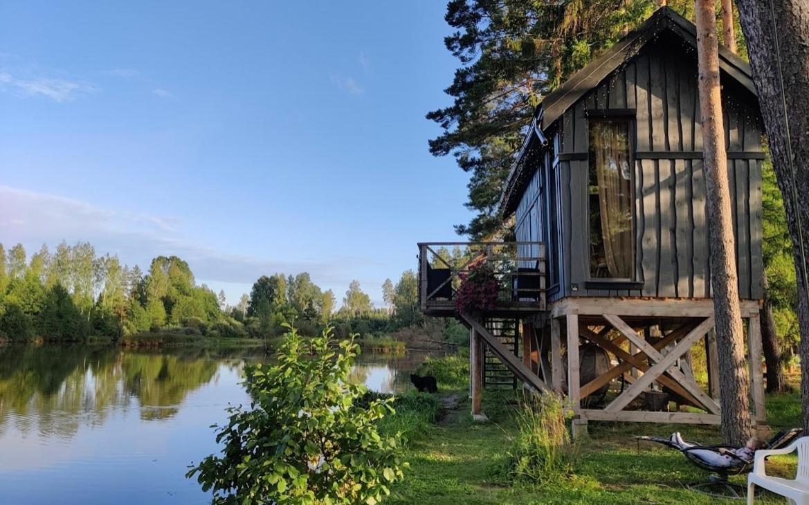 Dragon House In The Tree! Jacuzzi, Sauna ,Cinema,Heated Lici  Exterior foto